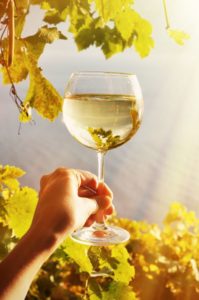 Rượu vang ngăn ngừa bệnh tật